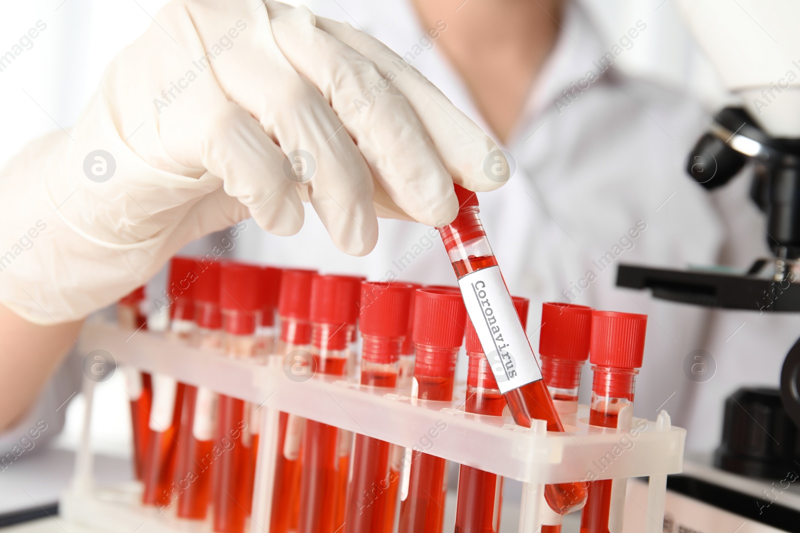 Photo of Scientist taking test tube with blood sample and label CORONA VIRUS from rack in laboratory, closeup