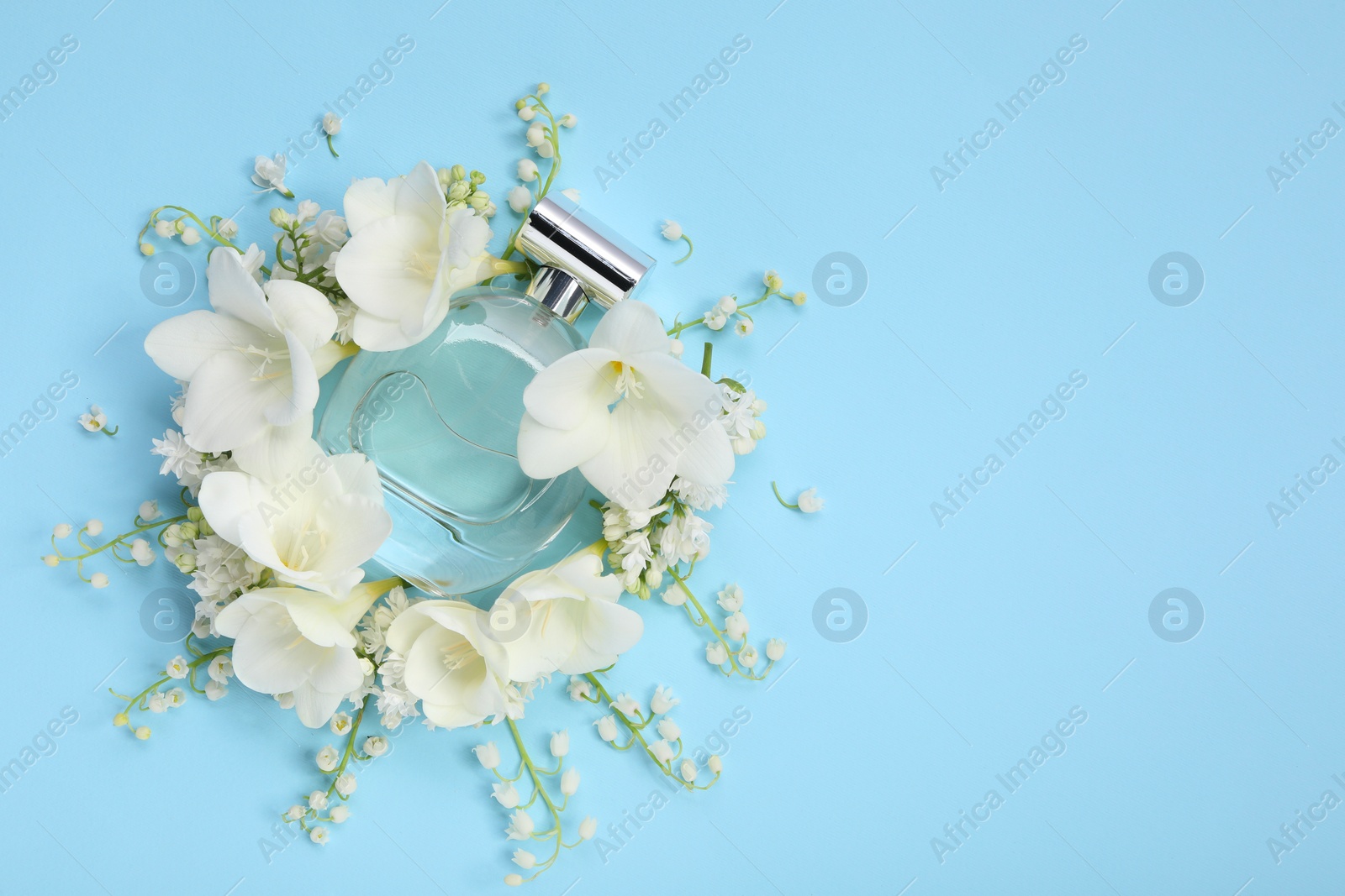 Photo of Luxury perfume and floral decor on light blue background, flat lay. Space for text