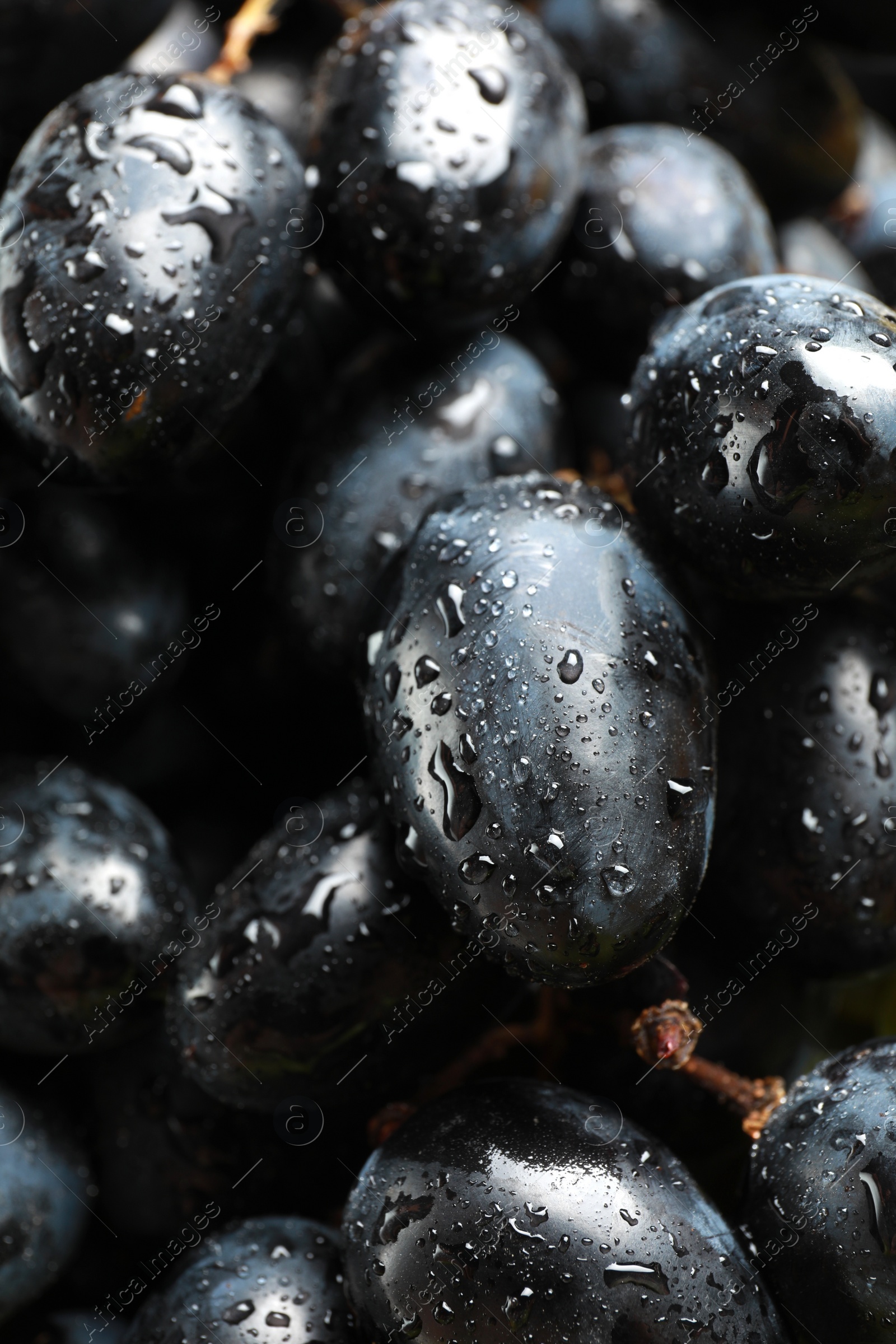 Photo of Fresh ripe juicy grapes with water drops as background, closeup