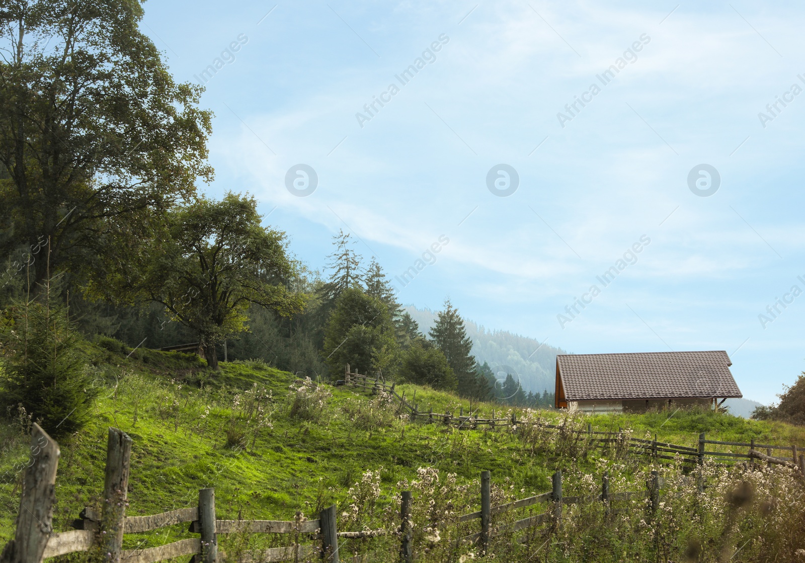 Photo of Picturesque view of secluded house and forest on mountain slopes