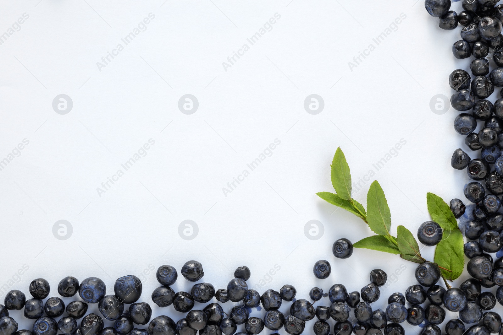 Photo of Ripe bilberries and sprig on white background, flat lay. Space for text