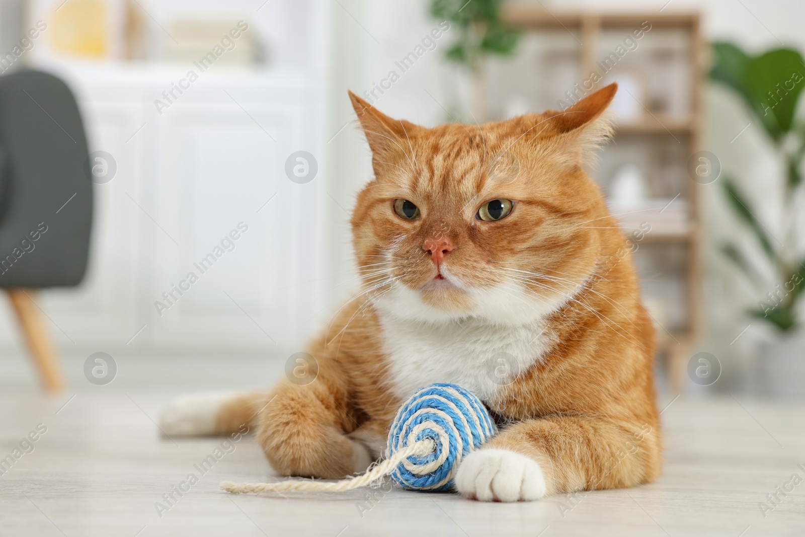 Photo of Cute ginger cat playing with sisal toy mouse at home