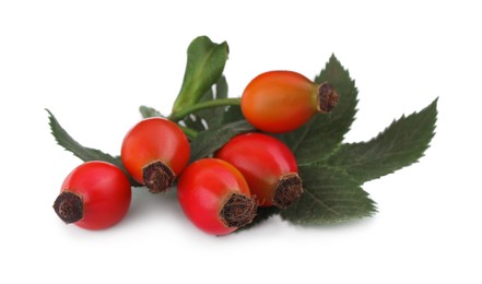 Photo of Ripe rose hip berries with green leaves on white background
