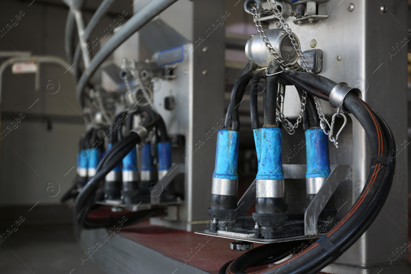 Photo of Automatic milking system in parlor, space for text. Modern dairy farm