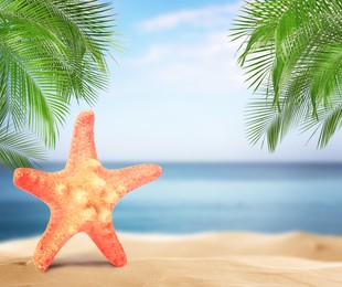 Image of Beautiful starfish on sandy beach near sea, space for text