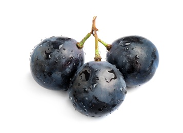 Photo of Fresh ripe juicy black grapes isolated on white