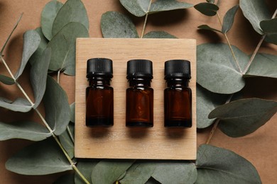 Aromatherapy. Bottles of essential oil and eucalyptus branches on brown background, flat lay