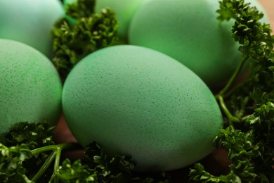 Turquoise Easter eggs painted with natural dye and curly parsley, closeup