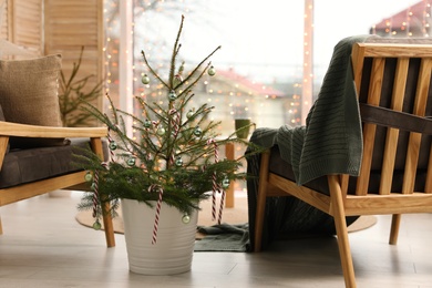 Little potted fir decorated with candy canes and Christmas balls indoors