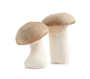 Photo of Fresh wild mushrooms on white background. Edible fungi