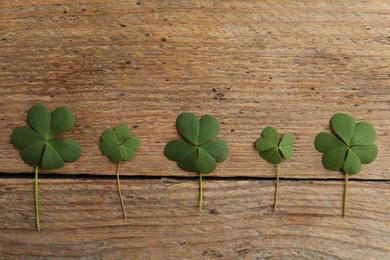 Photo of Clover leaves on wooden table, flat lay. St. Patrick's Day symbol