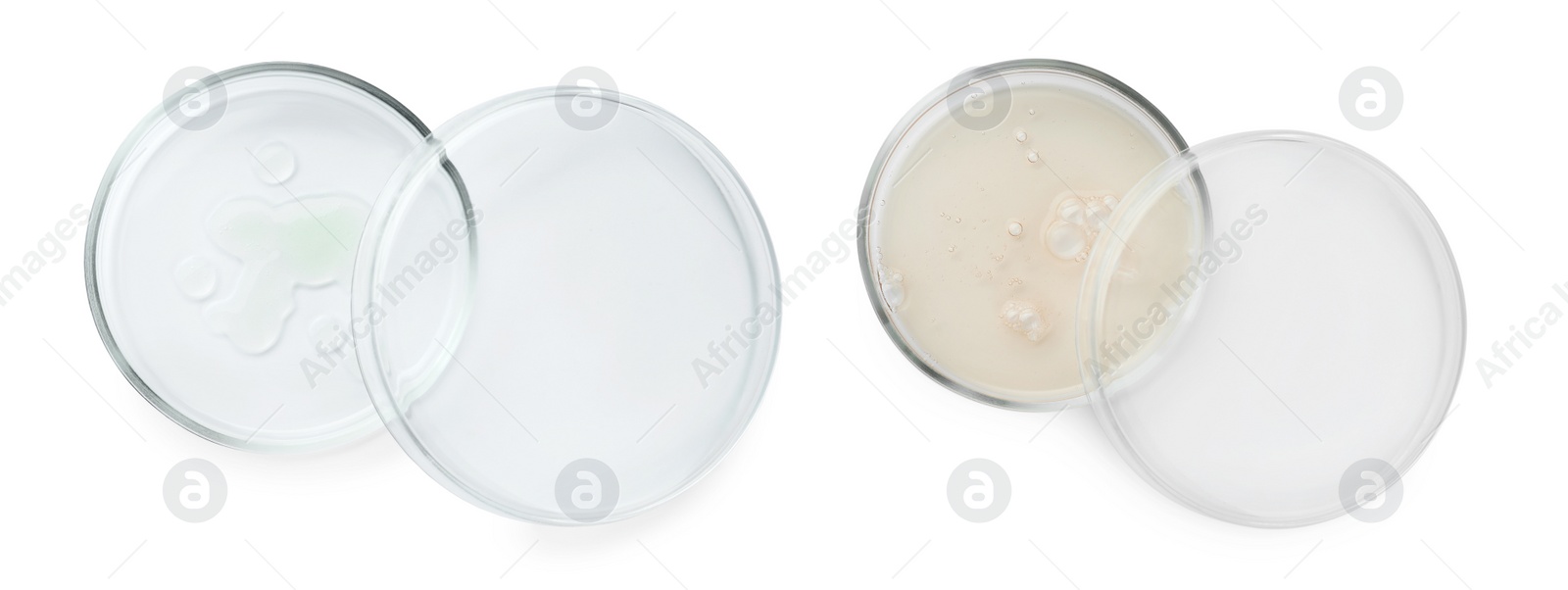 Image of Petri dishes with liquid samples isolated on white, top view