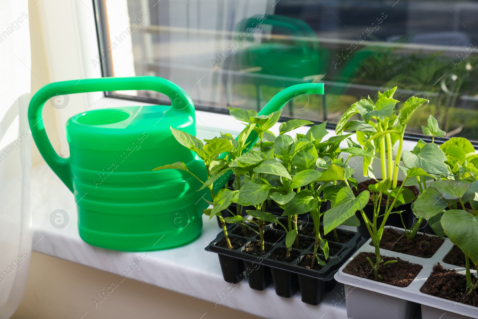 Photo of Seedlings growing in plastic containers with soil and watering can on windowsill indoors