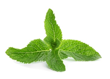 Fresh green mint leaves on white background