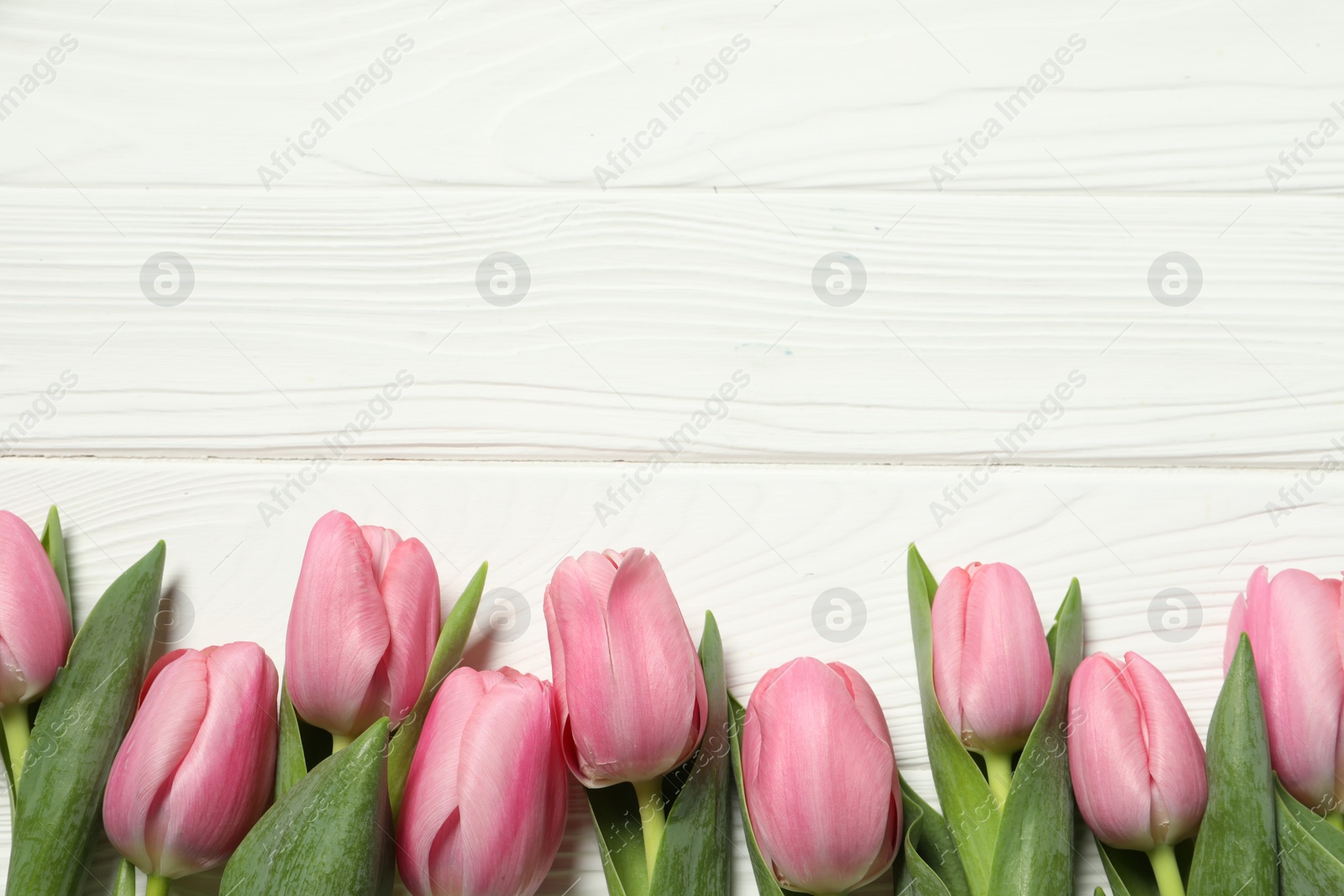 Photo of Happy Mother's Day. Beautiful pink tulips on white wooden table, flat lay. Space for text