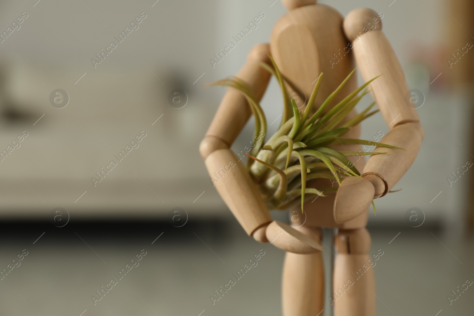 Photo of Wooden human figure with beautiful Tillandsia plant indoors, closeup and space for text. Home decor