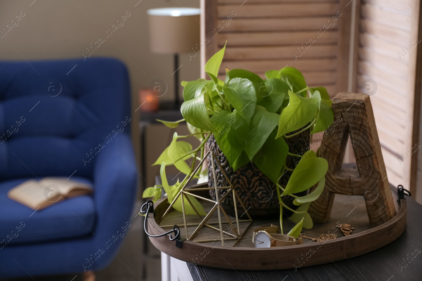 Photo of Stylish tray with different interior elements on wooden table in room