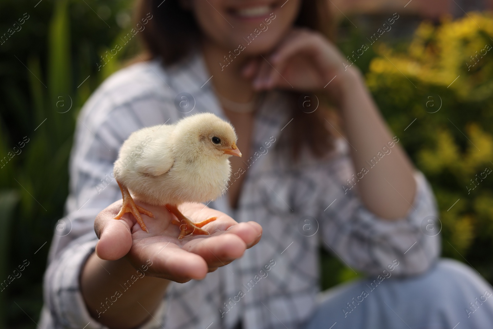 Photo of Woman with cute chick outdoors, selective focus