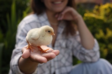 Photo of Woman with cute chick outdoors, selective focus