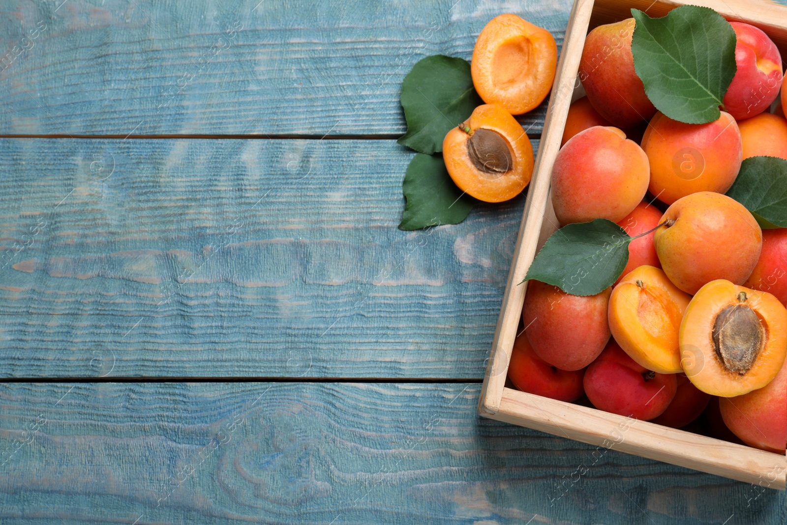 Photo of Delicious fresh ripe apricots on blue wooden table, flat lay. Space for text