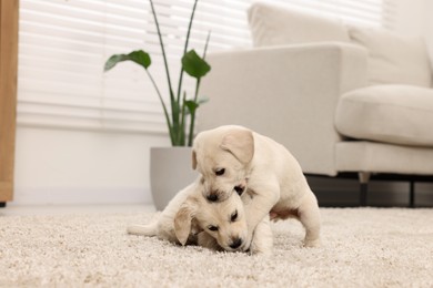 Photo of Cute little puppies playing on beige carpet at home