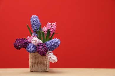 Photo of Beautiful hyacinths in wicker pot on table against color background, space for text. Spring flowers