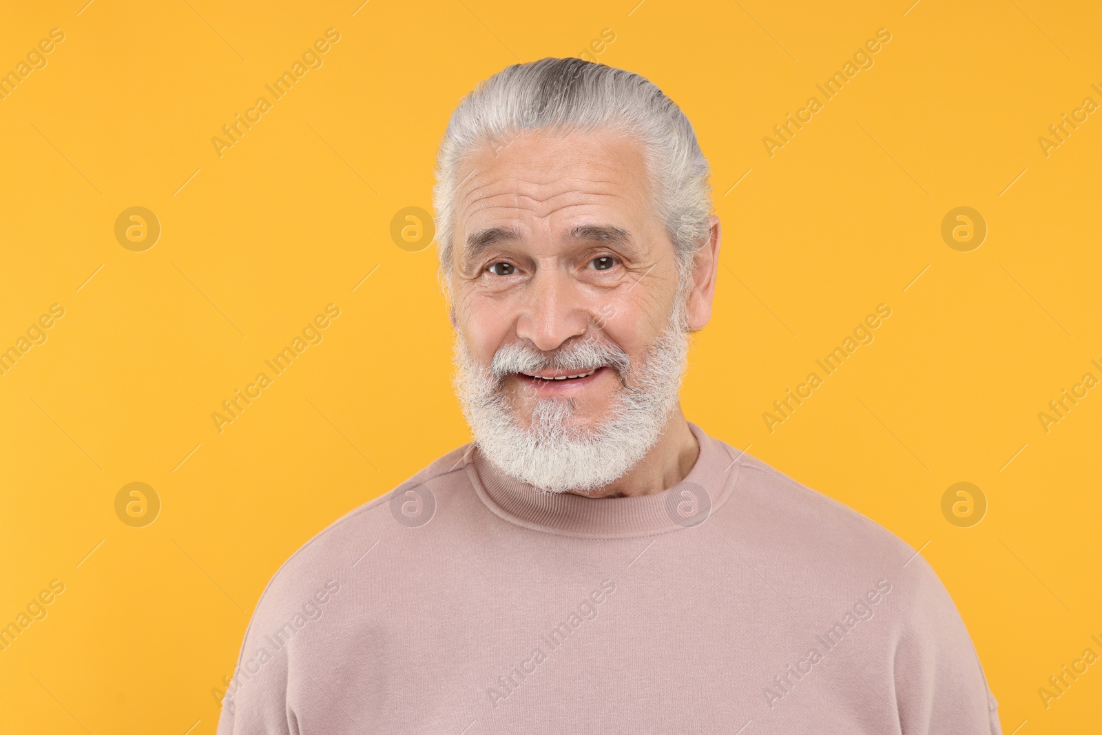 Photo of Portrait of handsome senior man on orange background