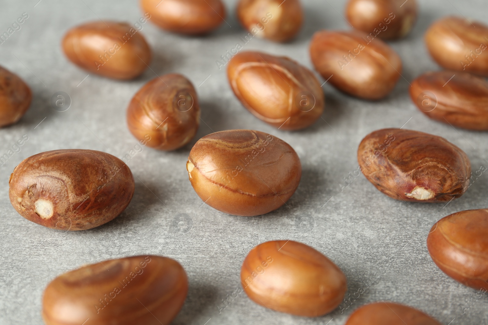 Photo of Many raw jackfruit seeds on light grey table, closeup