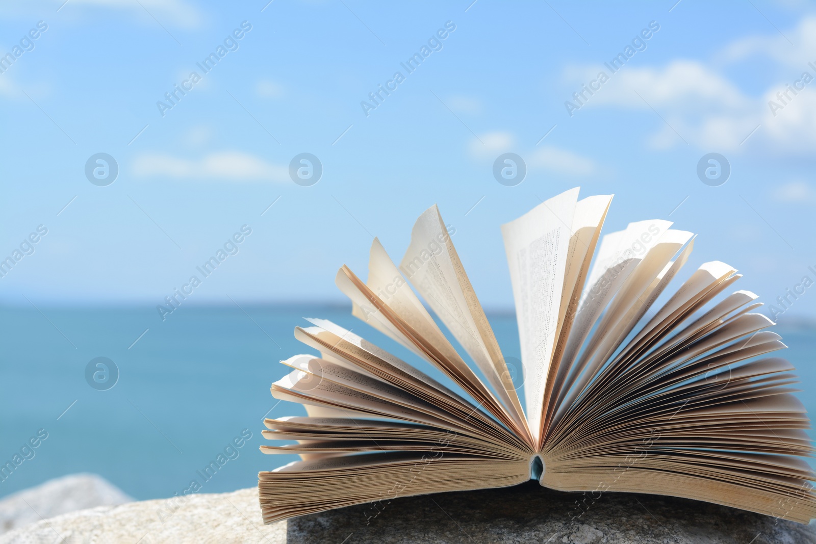 Photo of Open book on rock near sea. Space for text