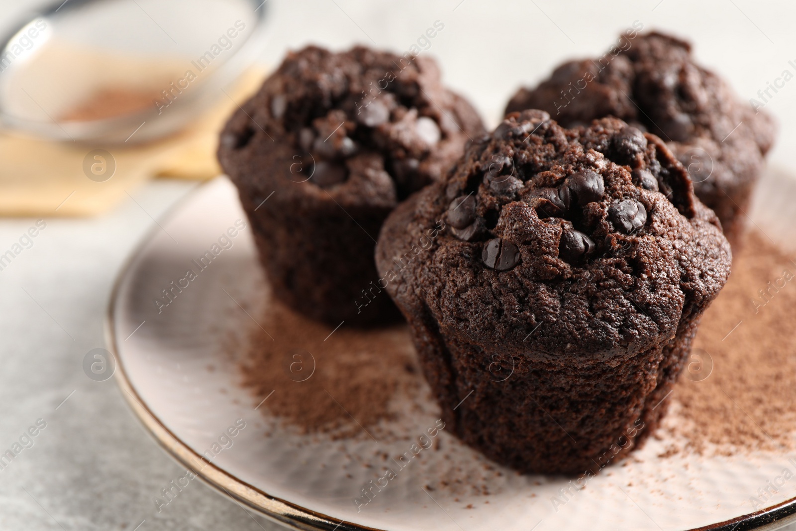 Photo of Delicious chocolate muffins and cacao powder on light grey table, closeup. Space for text