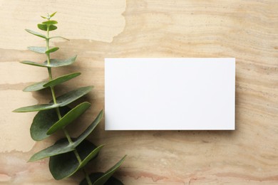 Blank business card and eucalyptus branch on wooden table, flat lay. Mockup for design