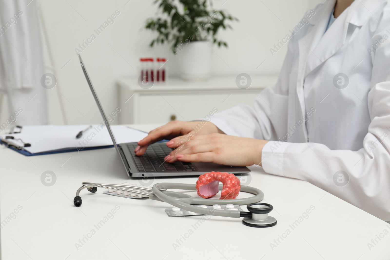 Photo of Endocrinologist working at table, focus on stethoscope and model of thyroid gland