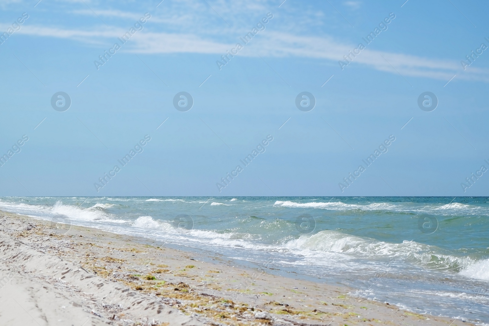 Photo of Beautiful view of sandy beach on sunny summer day