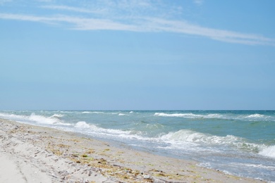 Beautiful view of sandy beach on sunny summer day