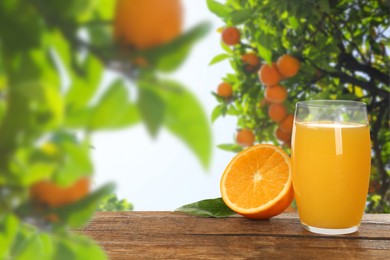 Fresh orange juice on wooden table in orchard. Space for text