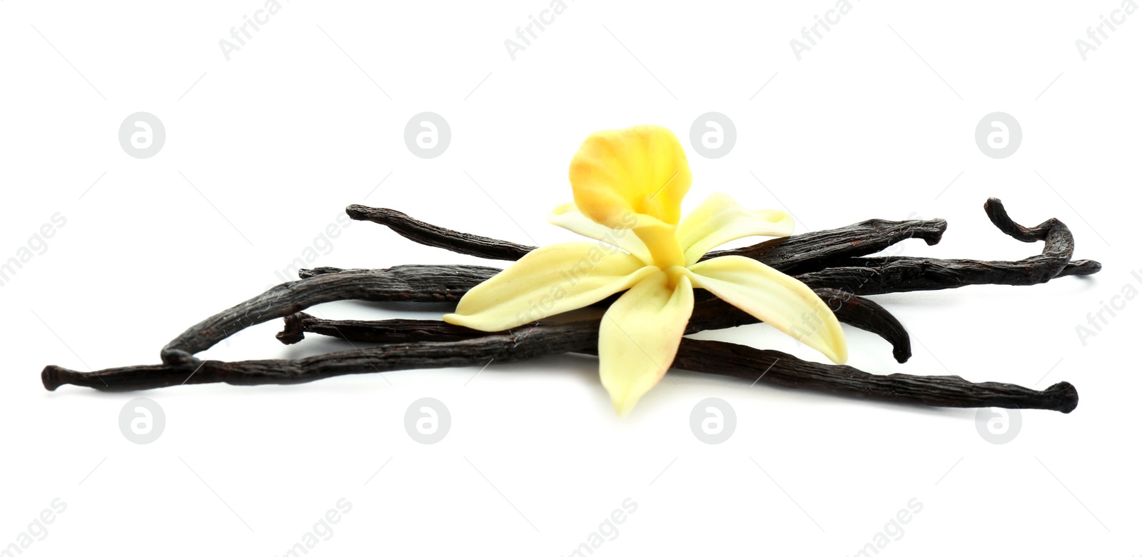 Photo of Aromatic vanilla sticks and flower on white background