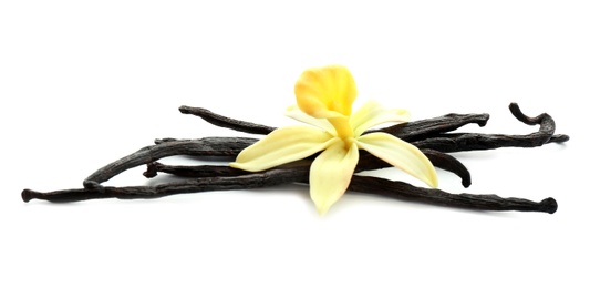 Photo of Aromatic vanilla sticks and flower on white background