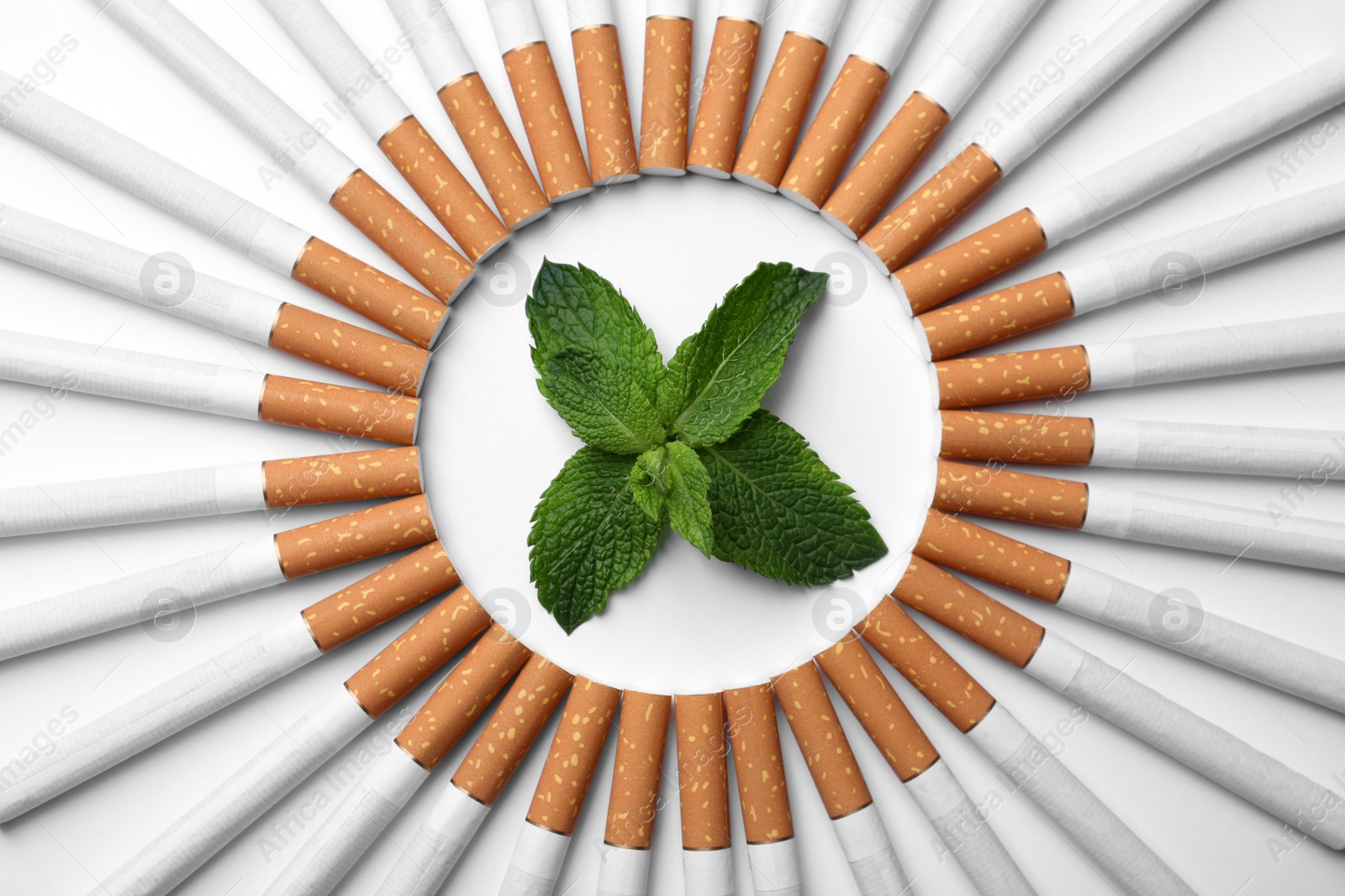 Photo of Menthol cigarettes and fresh mint leaves on white background, flat lay