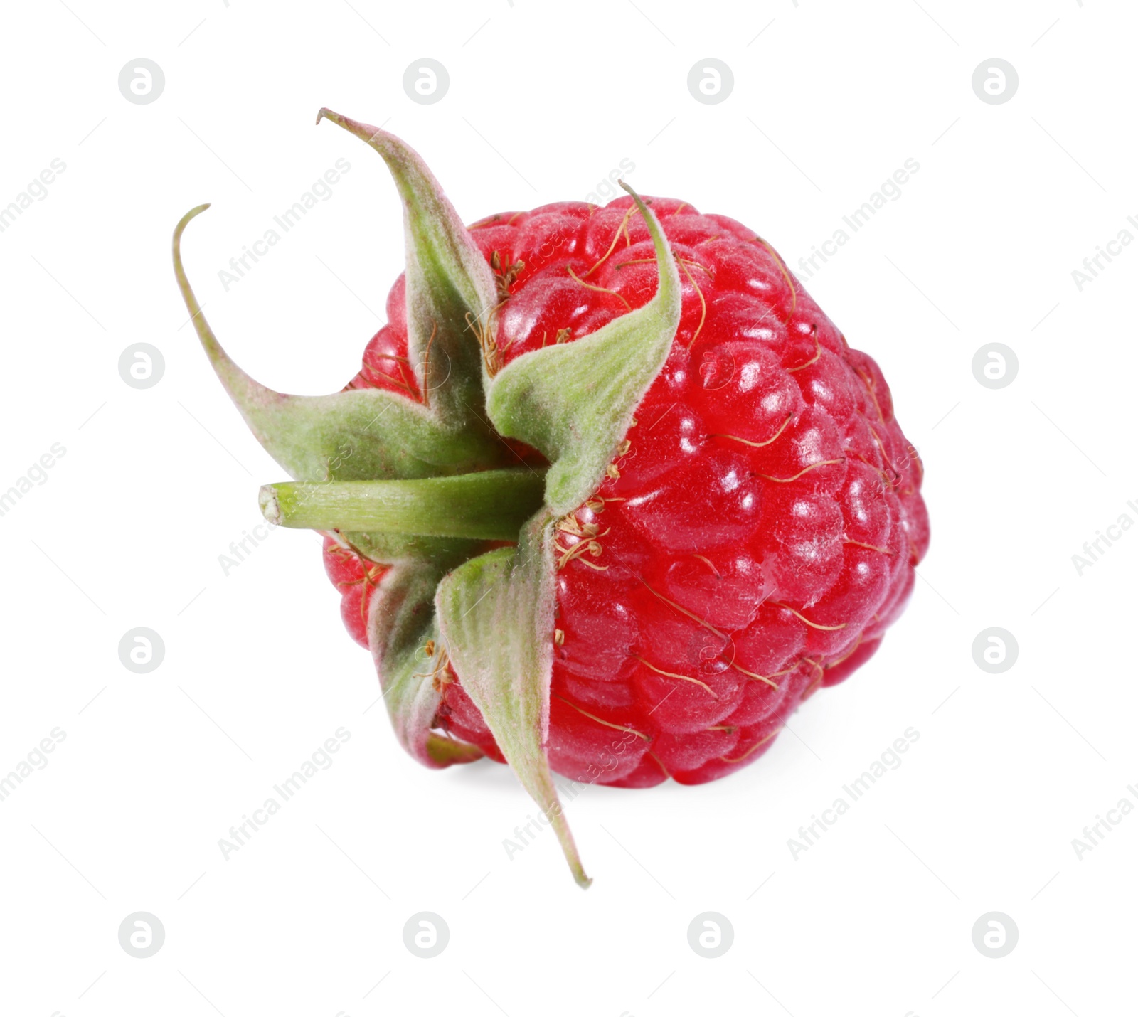 Photo of One tasty ripe raspberry isolated on white