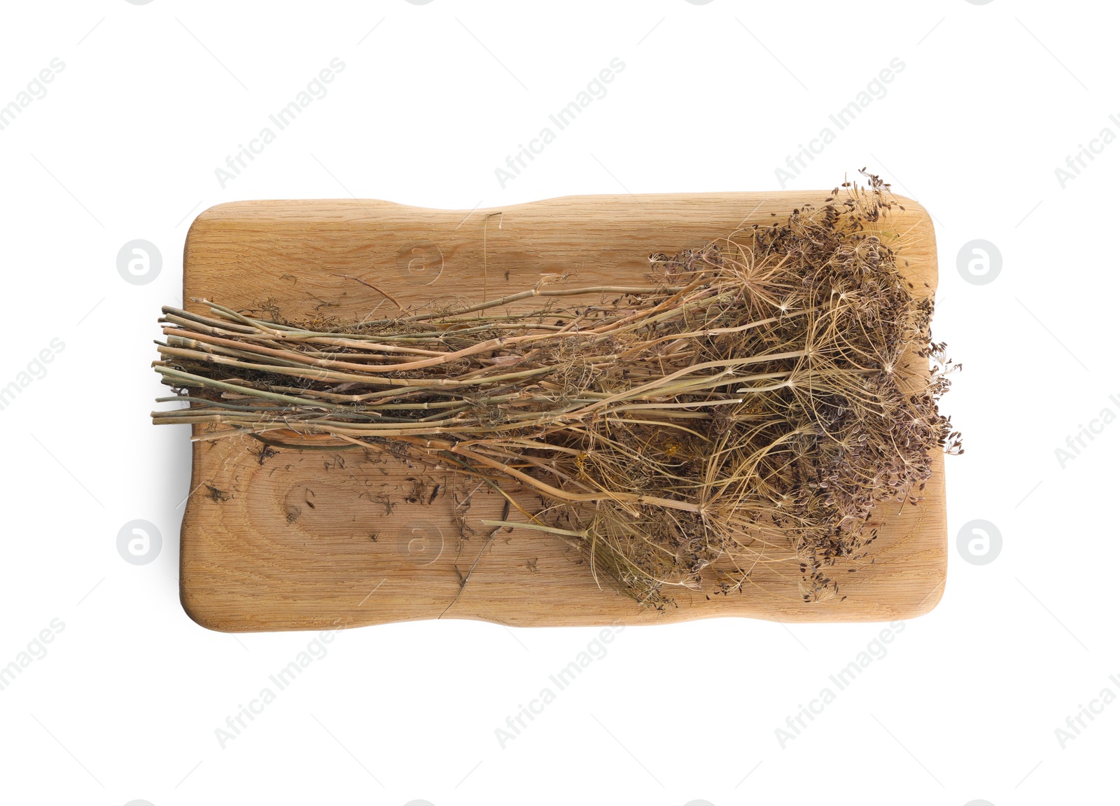 Photo of Board with dry dill flowers isolated on white, top view