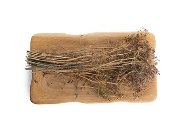 Photo of Board with dry dill flowers isolated on white, top view