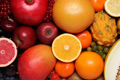 Photo of Many different fresh fruits and grapes as background, top view