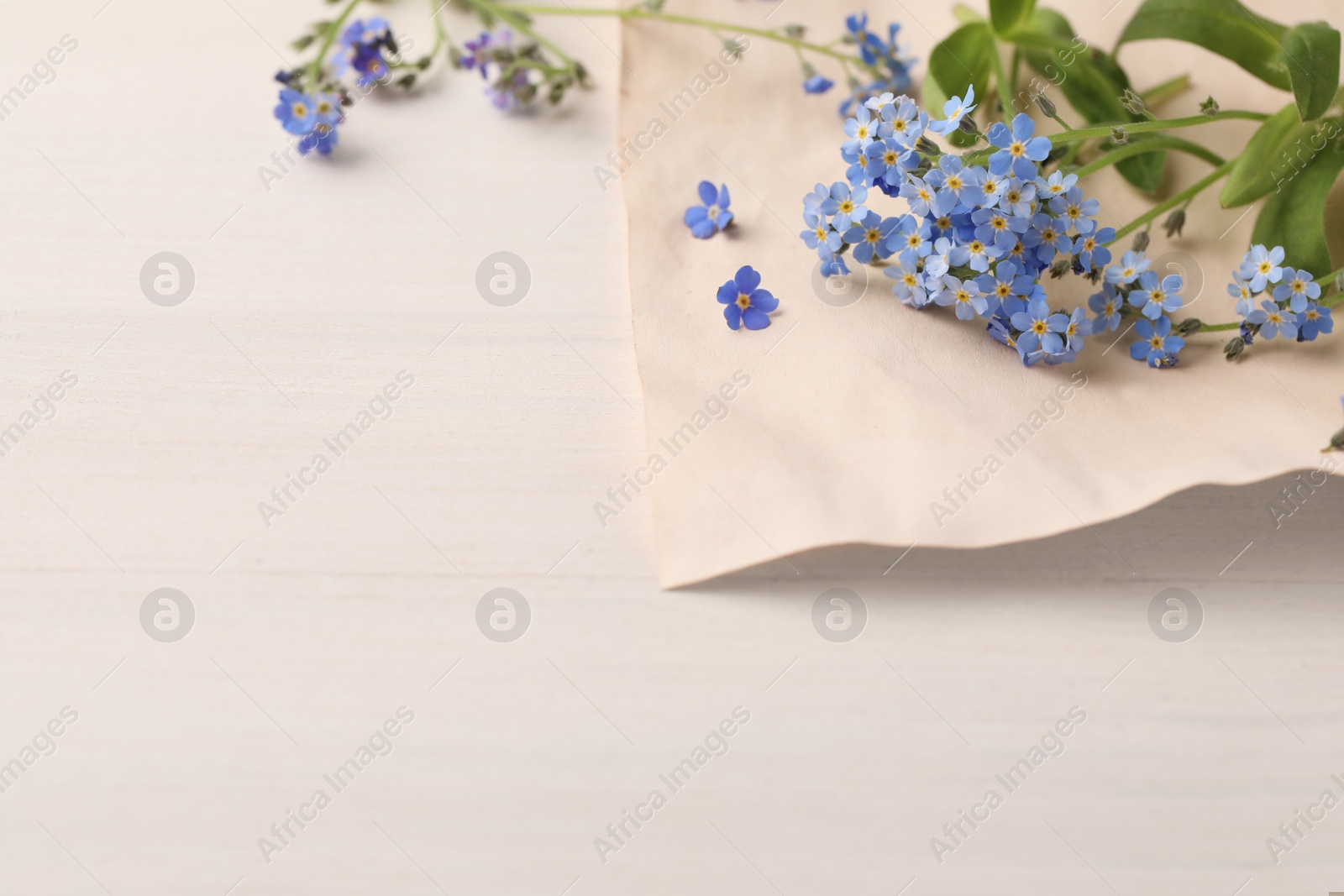 Photo of Beautiful Forget-me-not flowers and parchment on white wooden table. Space for text