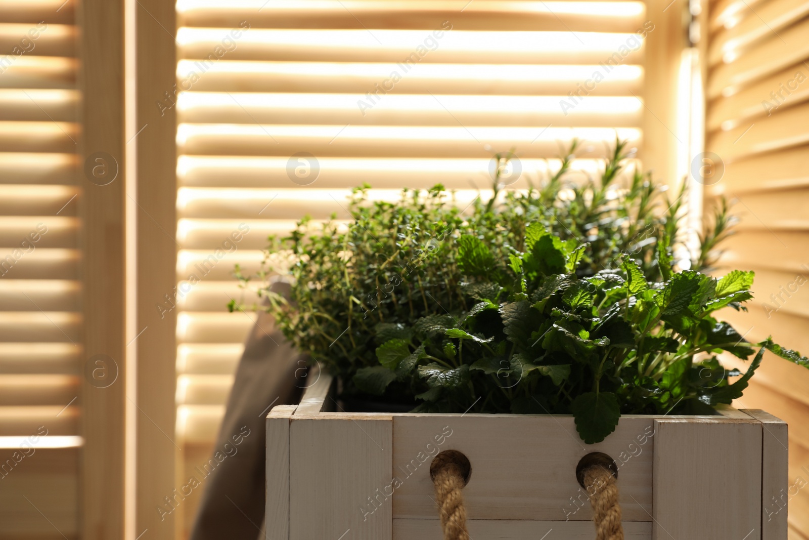 Photo of Wooden crate with different potted herbs indoors