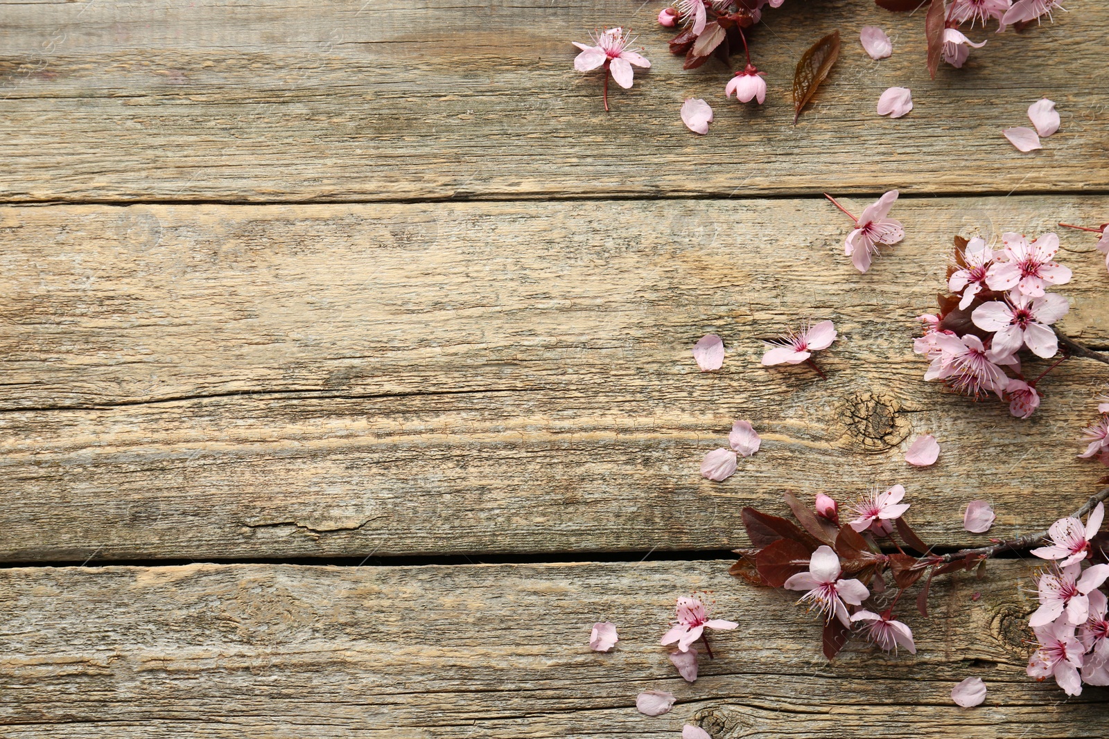 Photo of Spring branches with beautiful blossoms and leaves on wooden table, flat lay. Space for text
