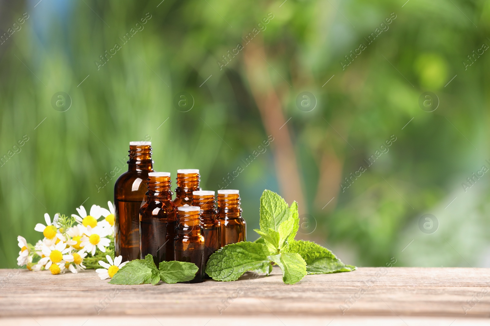 Photo of Bottles with essential oils, mint and chamomile on wooden table against blurred green background. Space for text
