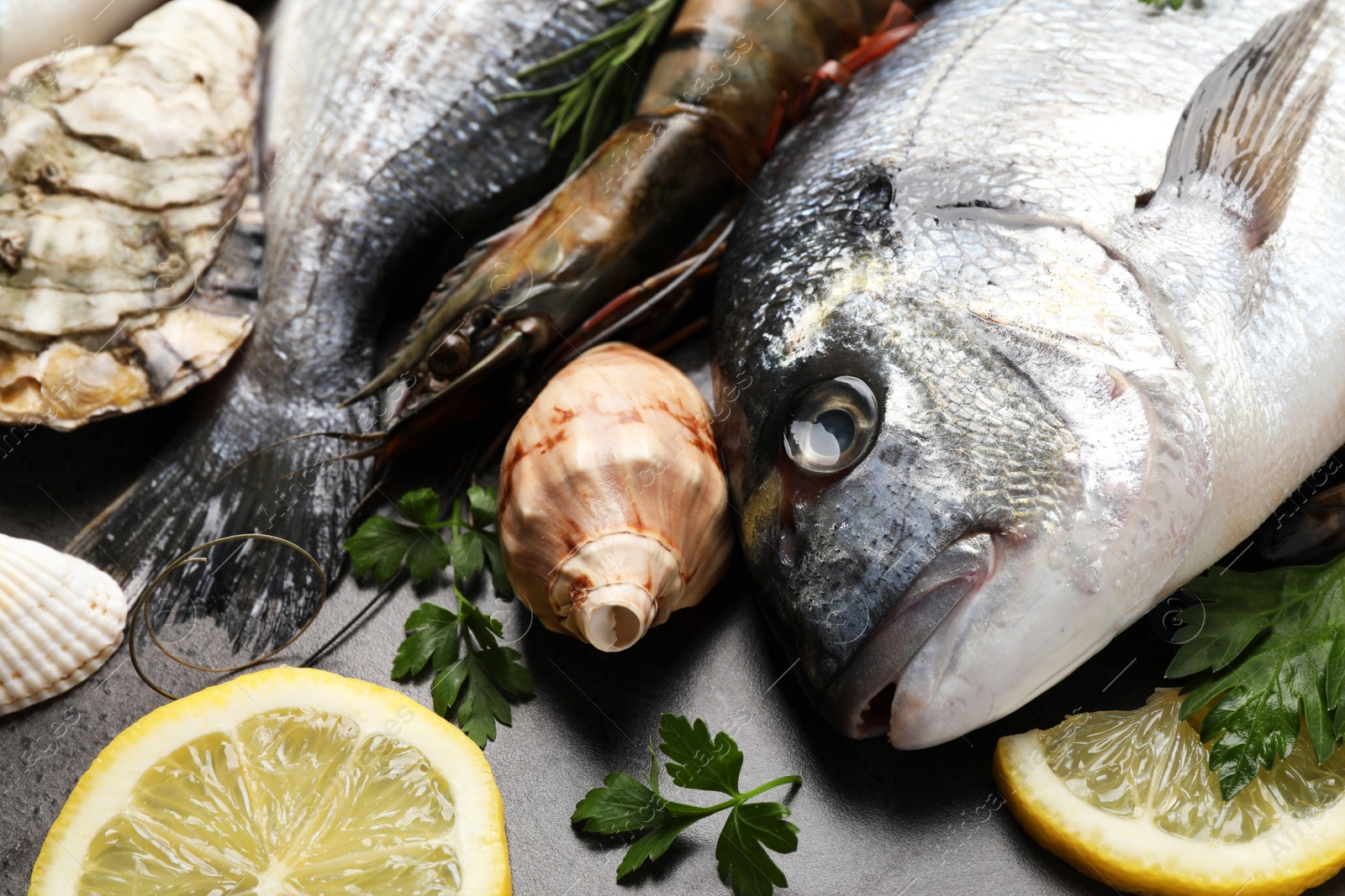 Photo of Fresh raw dorado fish and different seafood on grey table, closeup