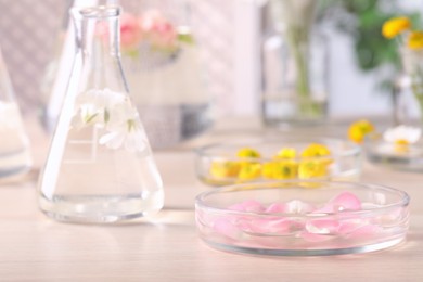 Photo of Petri dish with pink rose petals on wooden table, space for text. Essential oil extraction