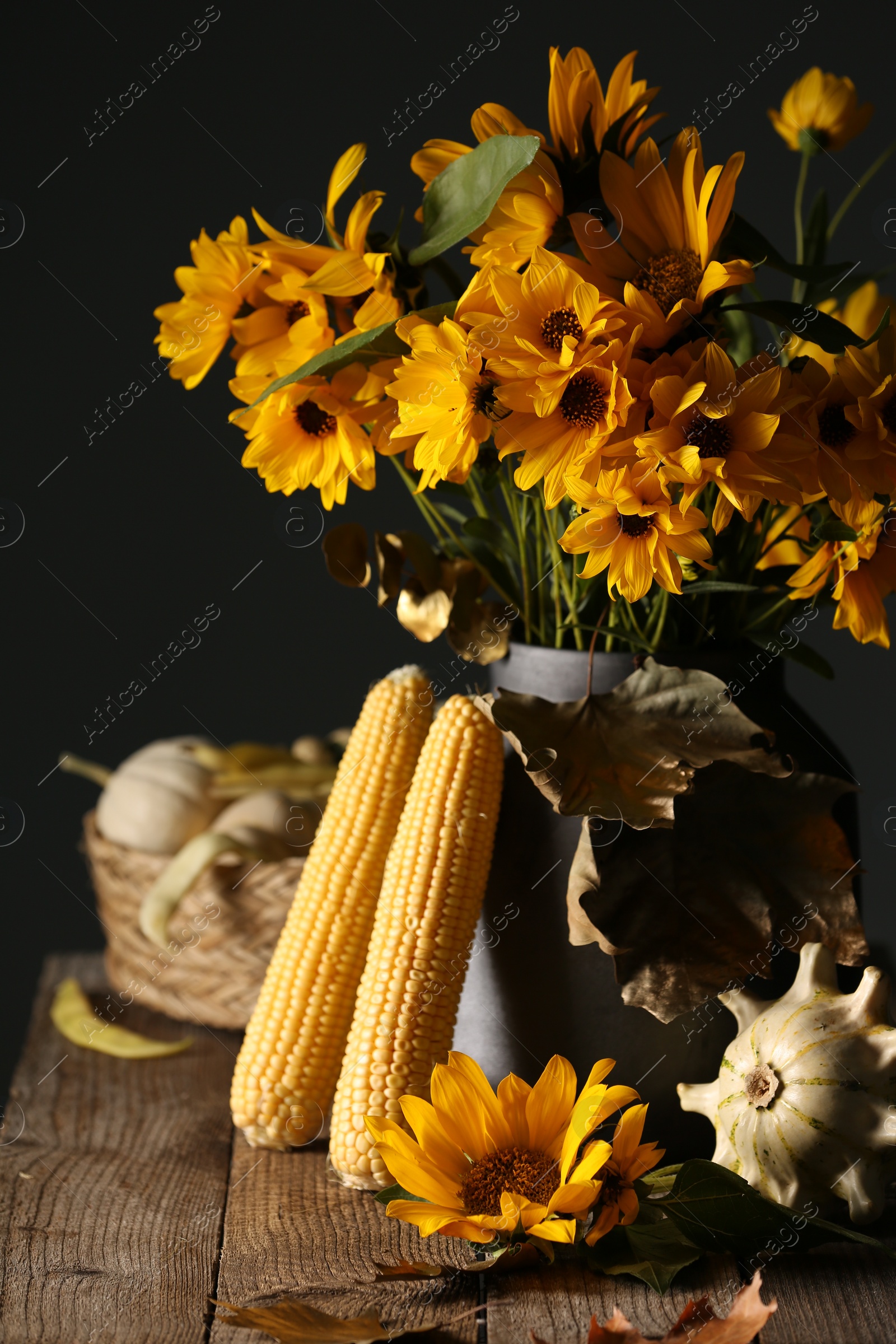 Photo of Beautiful autumn bouquet, corn cobs and small pumpkins on wooden table against dark grey background