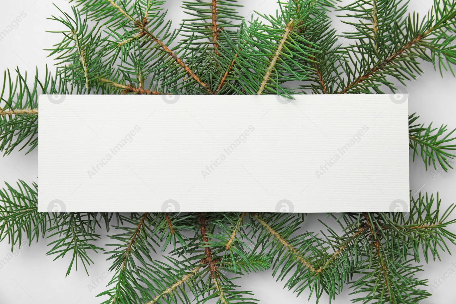 Photo of Blank card and branches of Christmas tree on white background, top view